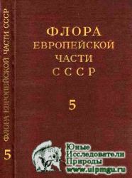 Флора Европейской части СССР Том - 5