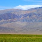 Экспедиция в Монголию. Фото 131