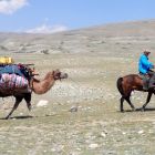 Экспедиция в Монголию. Фото 33