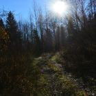 Осенний выезд Чистый лес 152