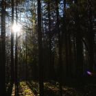 Осенний выезд Чистый лес 149