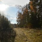 Осенний выезд Чистый лес 188