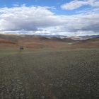 Экспедиция в Монголию. Фото 96