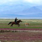 Экспедиция в Монголию. Фото 352