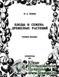 Плоды и семена древесных растений