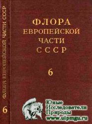 Флора Европейской части СССР Том - 6